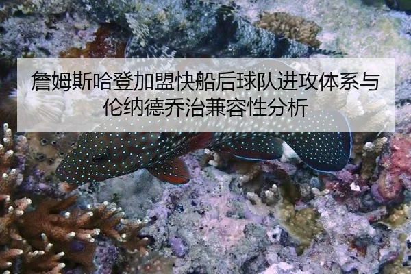 詹姆斯哈登加盟快船后球队进攻体系与伦纳德乔治兼容性分析