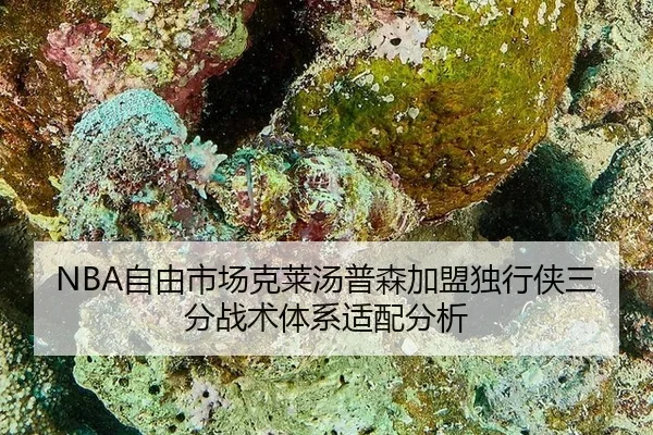 zi-you-shi-chang-ke-lai-tang-pu-sen-jia-meng-du-xing-xia-san-fen-zhan-shu-ti-xi-shi-pei-fen-xi-2-550.jpg